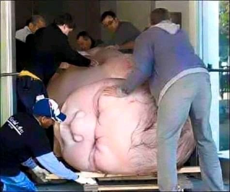 a giant pig being carried by police